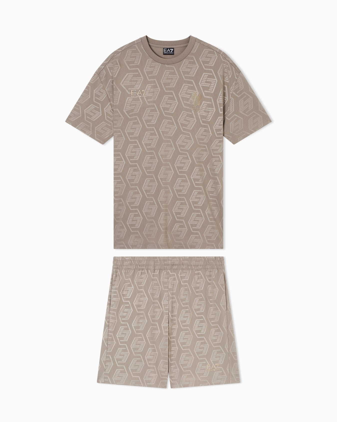 Conjunto EA7 - 7M001304 AF13537 U6167