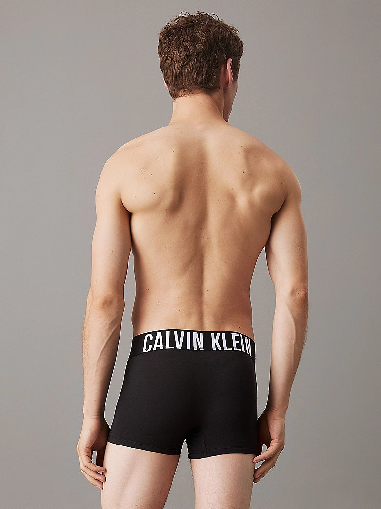 Boxers CALVIN KLEIN - 000NB3608A QTJ