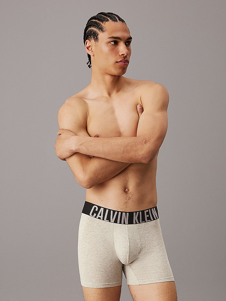 Boxers CALVIN KLEIN - 000NB3609AQTK