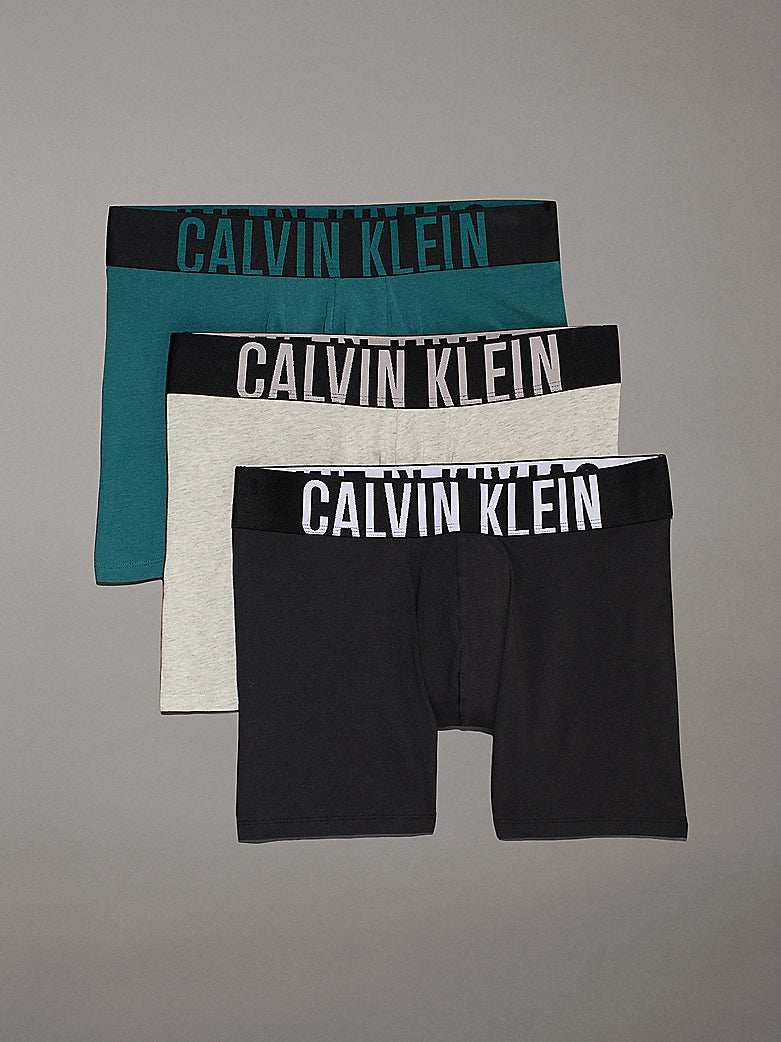 Boxers CALVIN KLEIN - 000NB3609AQTK