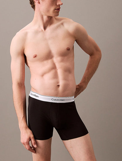 Boxers CALVIN KLEIN - 000NB3964A MP1