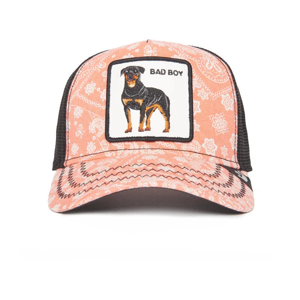 Gorra GOORIN - 101-0948-PIN