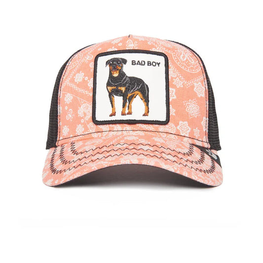 Gorra GOORIN - 101-0948-PIN