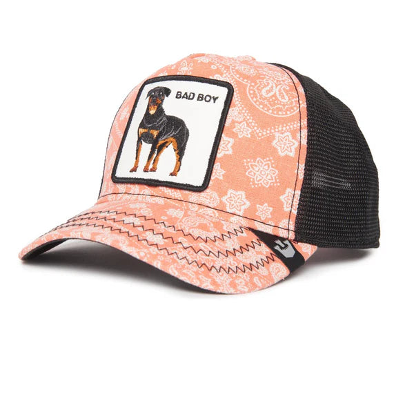 Gorra GOORIN - 101-0948-PIN