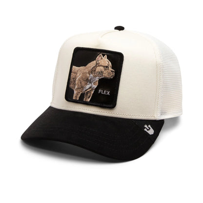 Gorra GOORIN SUEDE PITBULL - 101-1860-CRE