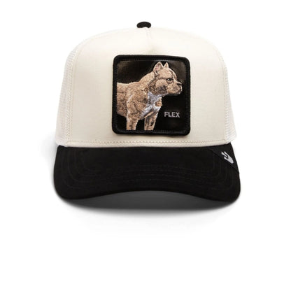 Gorra GOORIN SUEDE PITBULL - 101-1860-CRE