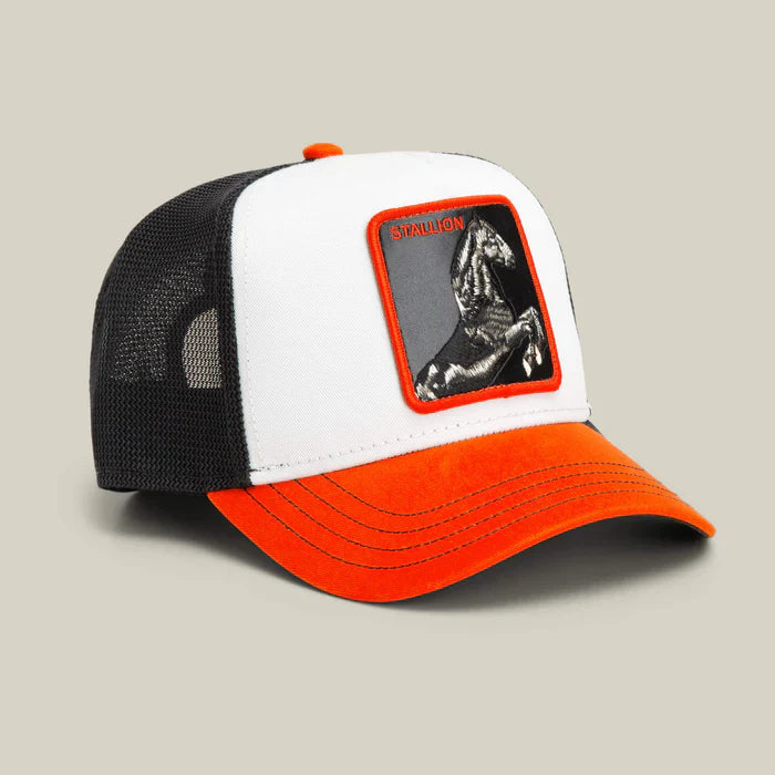 Gorra GOORIN - 101-2564-MULTI