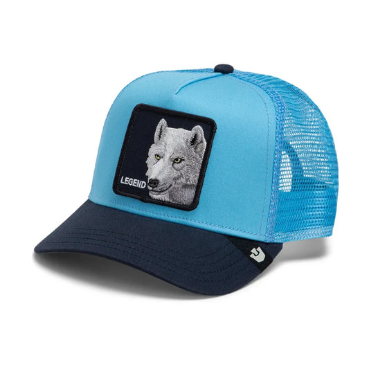 Gorra GOORIN - 101-3764-SKY01