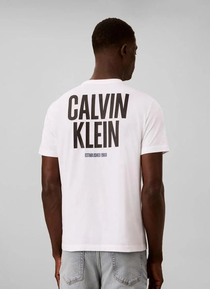 Camiseta CALVIN KLEIN - LV04RH816G YAF