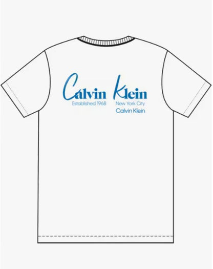 Camiseta CALVIN KLEIN - LV14RF802G YAF