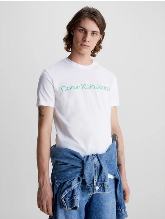 Camiseta CALVIN KLEIN - J30J322344 0K4