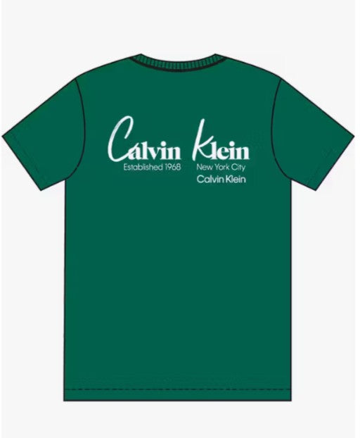 Camiseta CALVIN KLEIN - LV14RF802G L4G