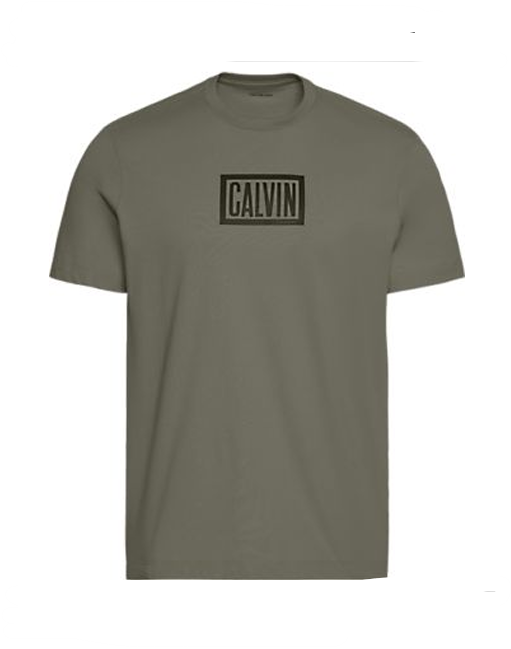 Camiseta CALVIN KLEIN - LV04RH818G LI1