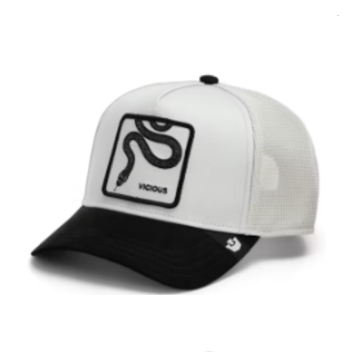 Gorra GOORIN - 101-3702-DIG04