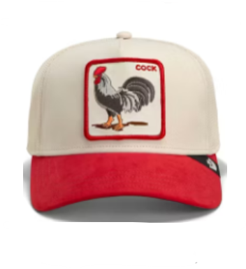 Gorra GOORIN - 101-1817-WAX01