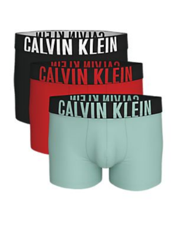Boxers CALVIN KLEIN - 000NB3775A 6GM