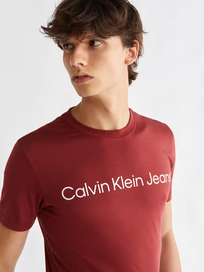 Camiseta CALVIN KLEIN - J30J322344 GNK