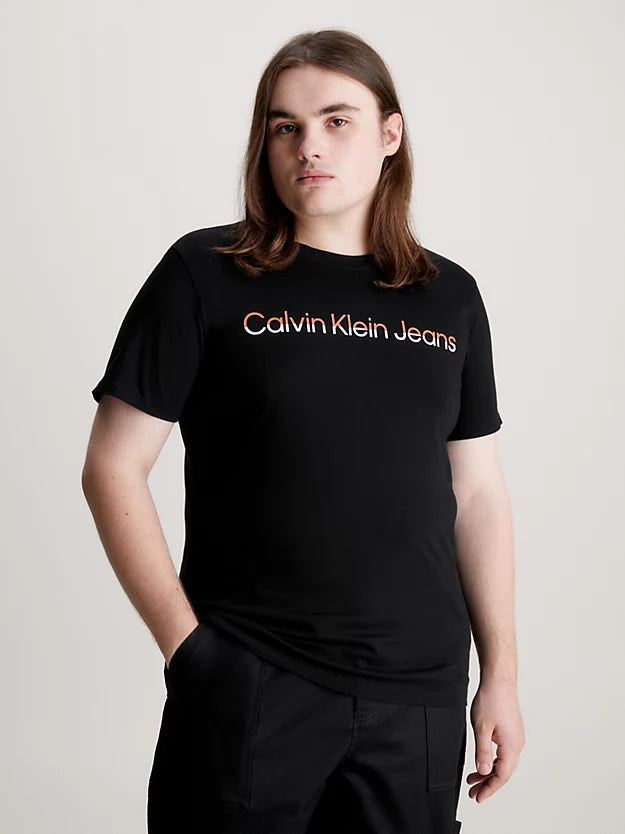 Camiseta CALVIN KLEIN - J30J324395 BEH