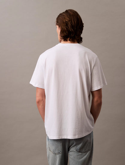 Camiseta CALVIN KLEIN - LV04RB862G YAA