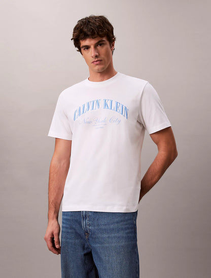 Camiseta CALVIN KLEIN - LV04RF820G YAF