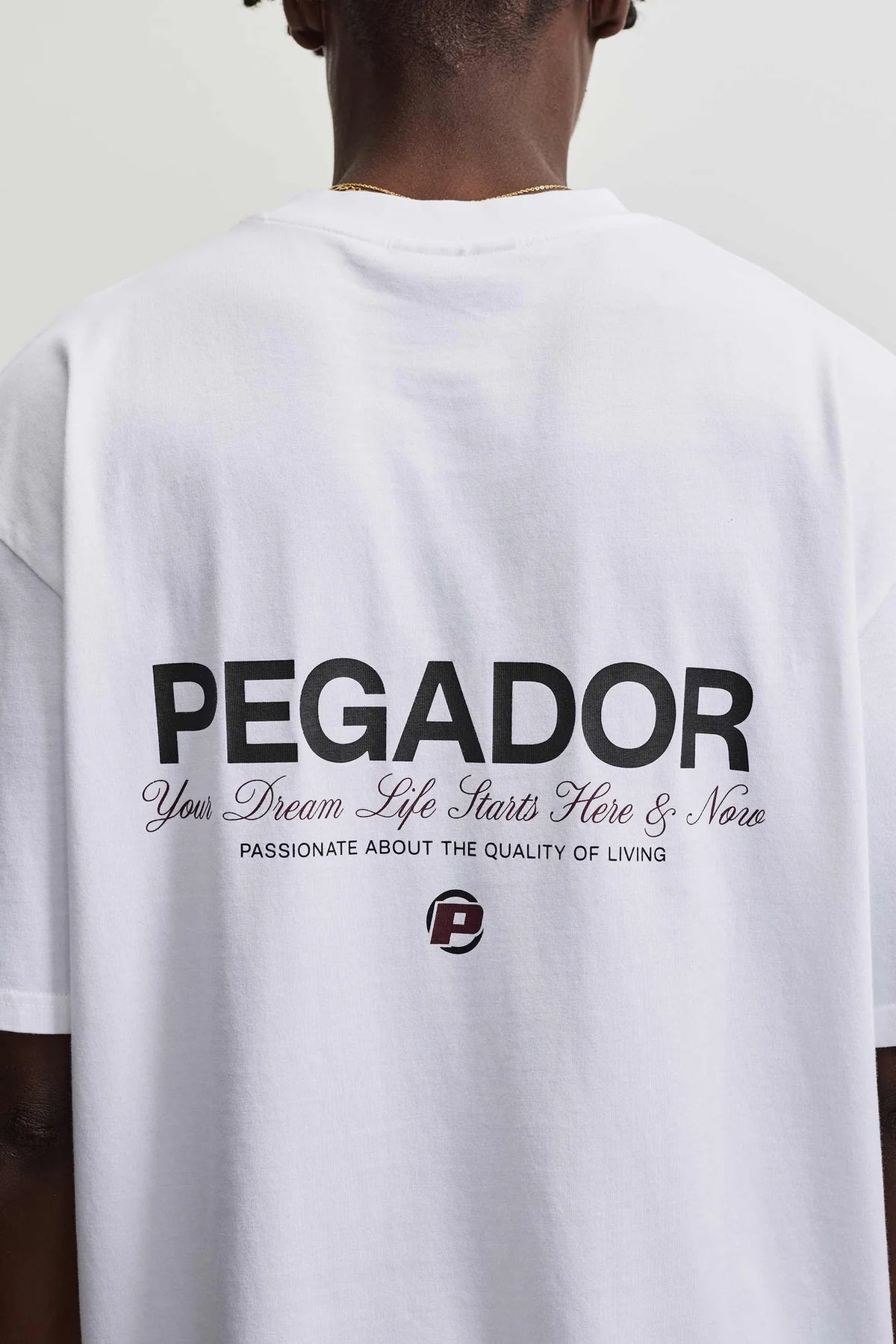 Camiseta PEGADOR - PGDR-7391-004