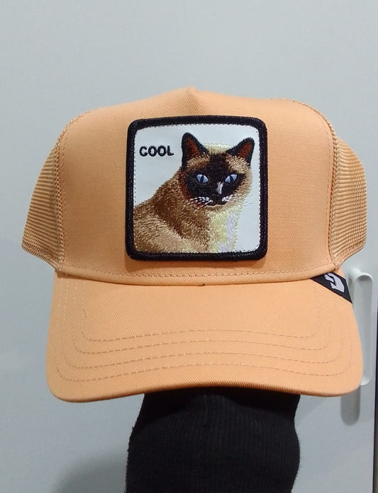 Gorra GOORIN COOL CAT - 101-1438-APR