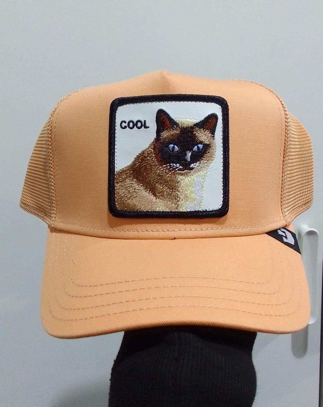 Gorra GOORIN COOL CAT - 101-1438-APR