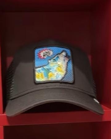 Gorra GOORIN - 101-3058-VOI01