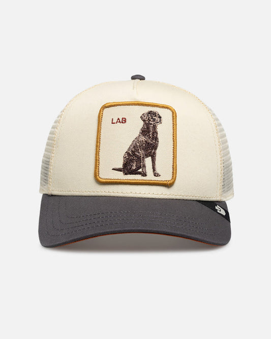 Gorra GOORIN - 101-3407-WAX01