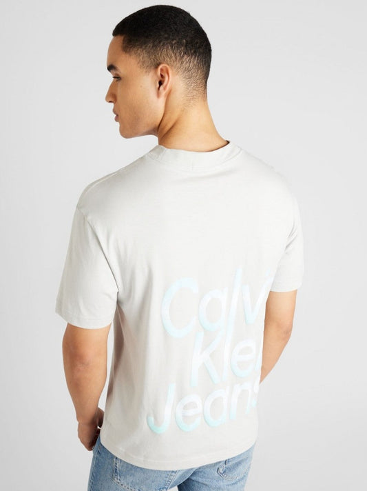 Camiseta CALVIN KLEIN - J30J325699 PC8