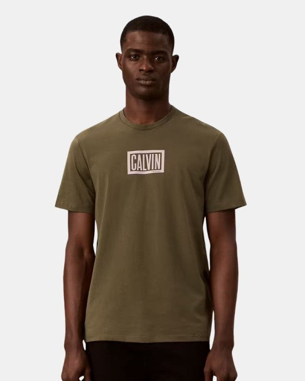 Camiseta CALVIN KLEIN - LV04RH818G LI1