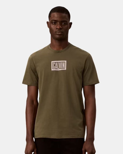Camiseta CALVIN KLEIN - LV04RH818G LI1