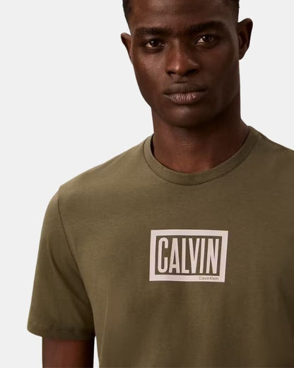 Camiseta CALVIN KLEIN - LV04RH818G LI1