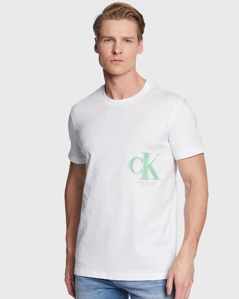 Camiseta CALVIN KLEIN - J30J322875 YAF