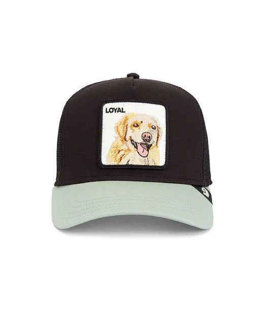 Gorra GOORIN - 101-0505-VOI05