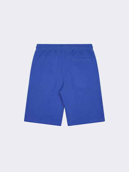 Bermudas PROJECT X - 2640302-DU