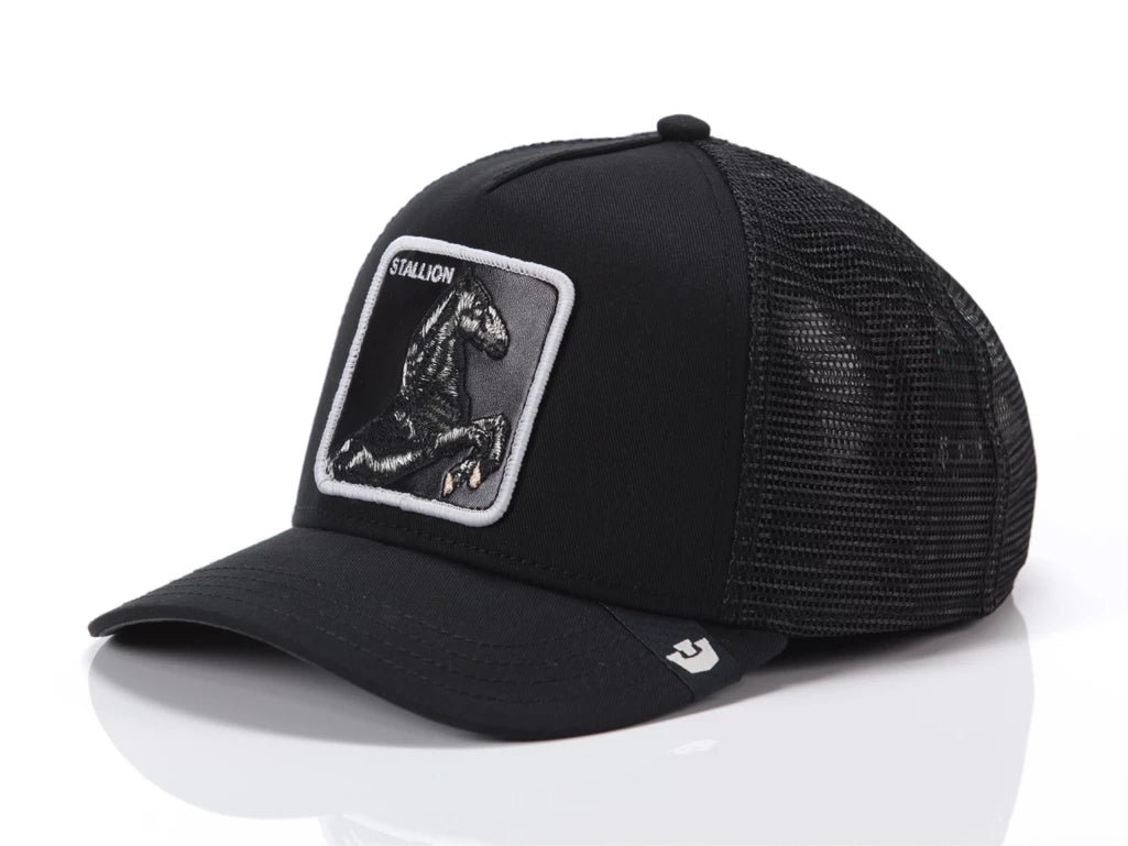 Gorra GOORIN - 101-2451-VOI01