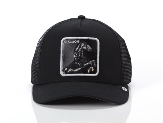 Gorra GOORIN - 101-2451-VOI01
