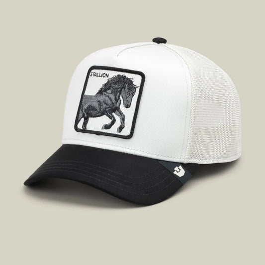 Gorra GOORIN - 101-3703-DIG04