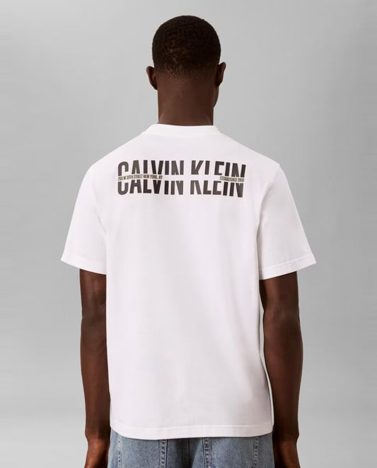Camiseta CALVIN KLEIN - LV04RH821G YAF