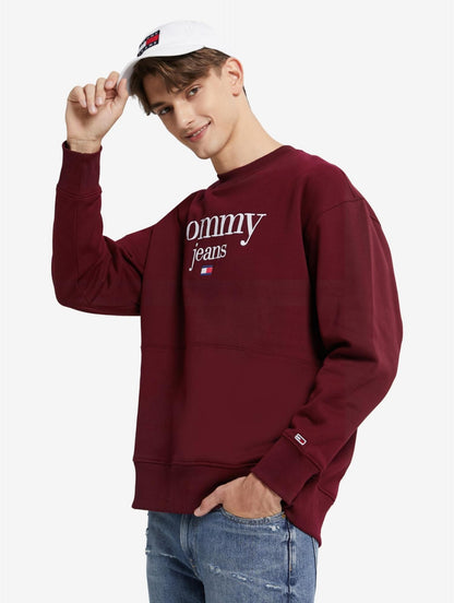 Sudadera TOMMY - DM0DM15029 VLP