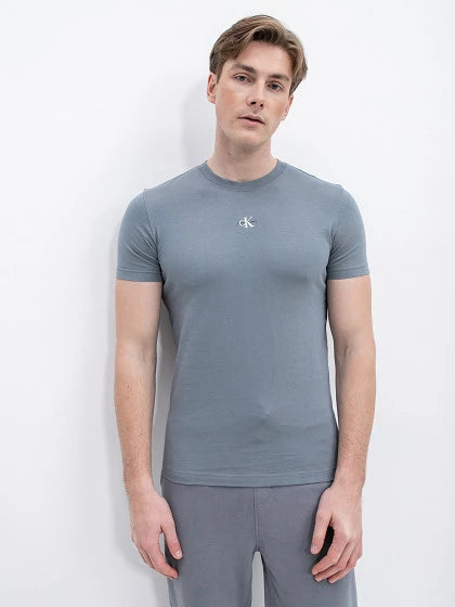 camiseta CALVIN KLEIN gris